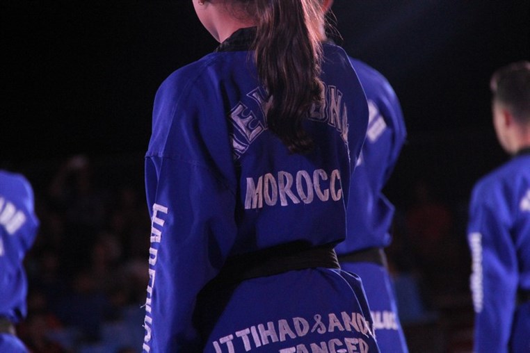 Martial Arts Festival